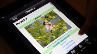Project Noah Would Be Swamp Thing's Favorite iPad App